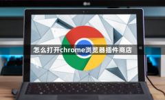 怎么打开chrome浏览器插件商店