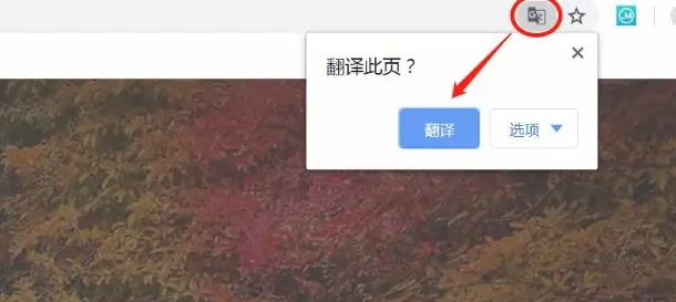 谷歌浏览器的翻译功能怎么开启7