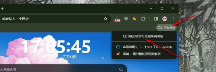 如何在谷歌浏览器侧边栏显示所有书签5