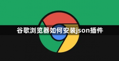 谷歌浏览器如何安装json插件