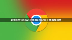 如何在Windows上使用Chrome下载离线网页