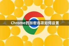 Chrome的加密选项如何设置